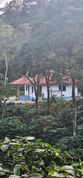 Vintara Homestay